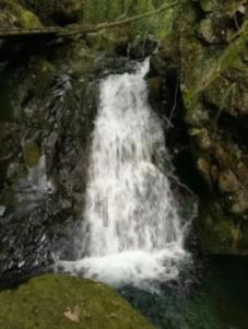 你“贴秋膘”了吗？由夏入秋吃哪些食物有助化湿？游戏画面